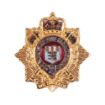 Picture of The Royal Logistic Corps Lapel Pin - Gilt Badge with Enamel - S & C Fit - Plastic Box