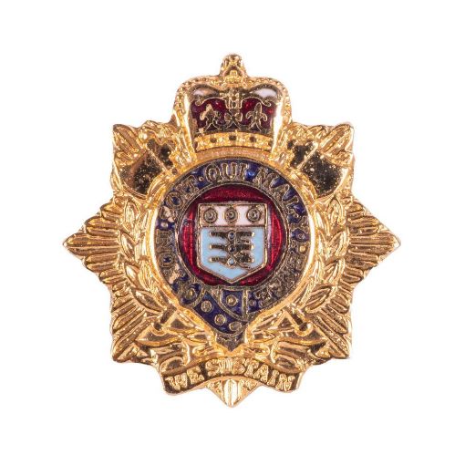 Picture of The Royal Logistic Corps Lapel Pin - Gilt Badge with Enamel - S & C Fit - Plastic Box